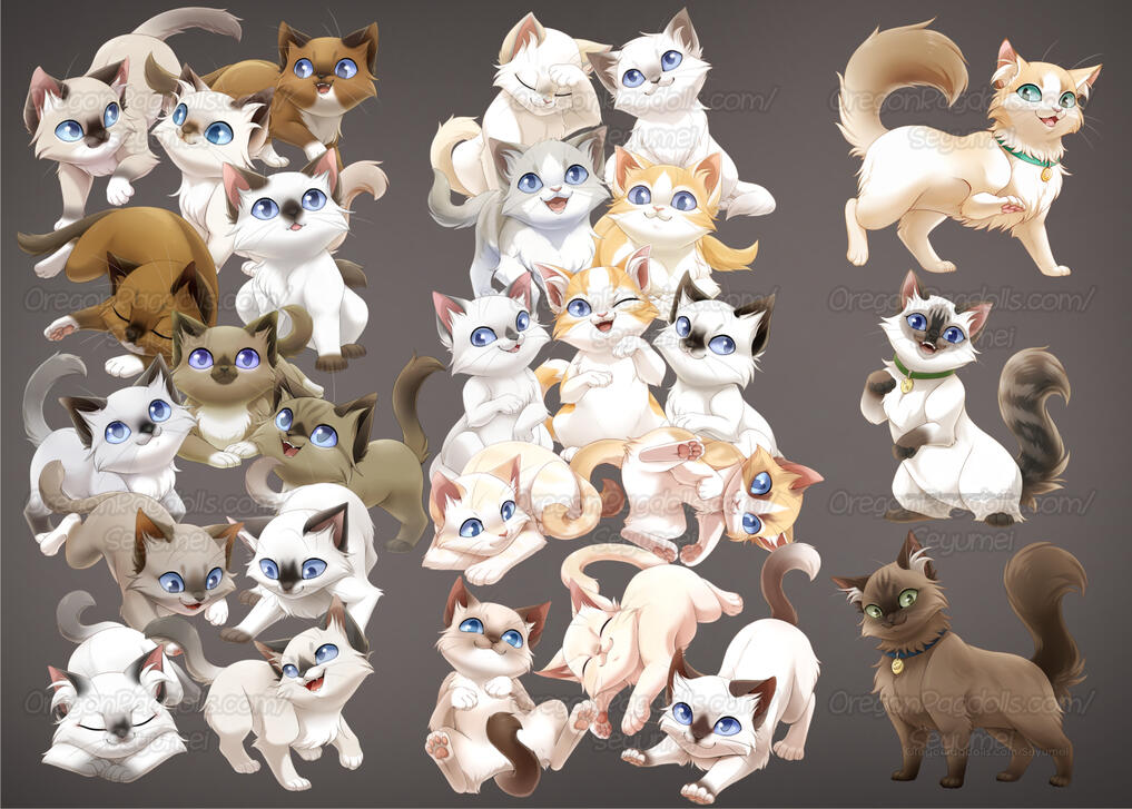 Portraits for OregonRagdolls.com