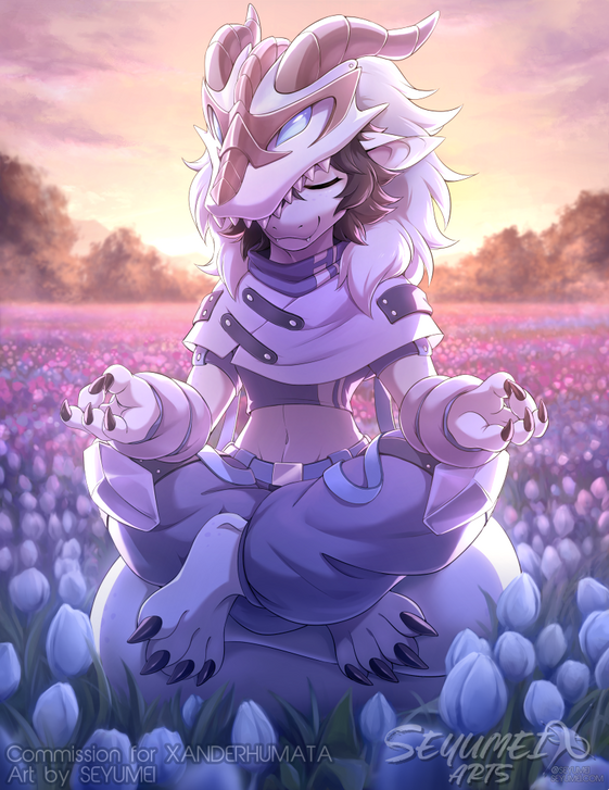 Personal commission for XanderHumata