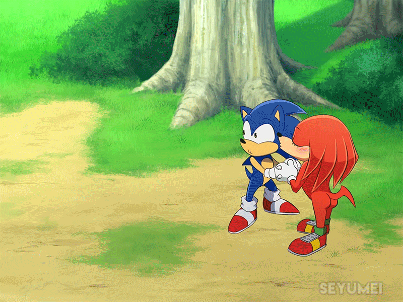 Scene for Sonic X Reanimated