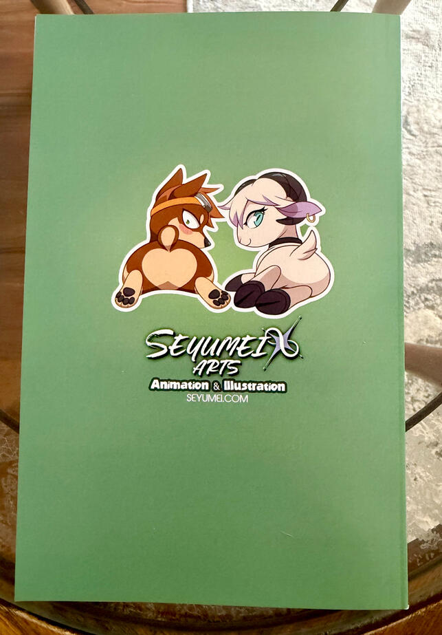 Back cover of the book